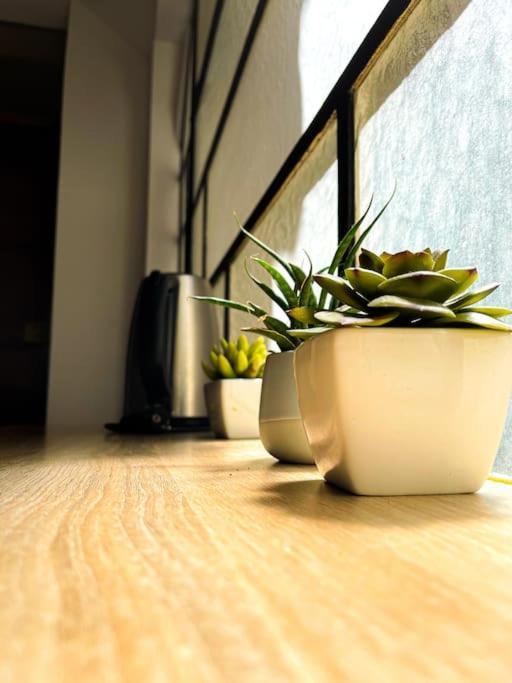 Coeur Feydeau Kervegan Le Duplex Hyper Centre Daire Nantes Dış mekan fotoğraf